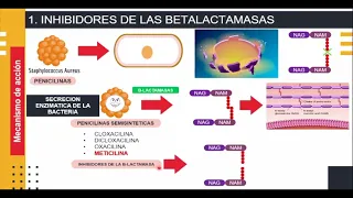 INHIBIDORES DE LAS BETALACTAMASAS