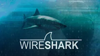 Часть 1: Введение в WireShark-"WireShark: Основы работы с инструментом" 2023