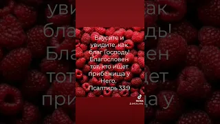 #бог #вера #иисусхристос #спасение #любовь