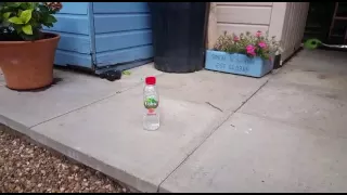 Haters Will Say It's Fake Bottle Flip Compilation