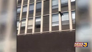 Cat jumps from fifth floor of burning building, bounces and strolls away