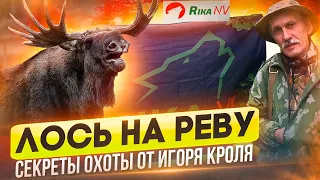 Охота на лося на вабу, на реву, гону! СЕКРЕТЫ самой интересной охоты в России от Игоря Кроля.