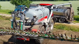 Gülle fahren Hundegang im Mais Energiekreislauf Holmer Terra mit Schleppschuh Düngung Landwirtschaft