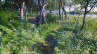 LSD/Acid Visual Simulation in a Walk Through Nature