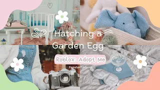 Hatching my Garden Egg! Roblox Adopt Me | Hamster Unicorn