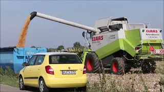 Claas Lexion 460 beim Mais dreschen!