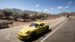 Porche Cayman GT4 stock Forza Horizon 5