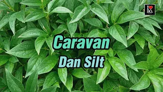 Dan Silt - Caravan [Karaoke  Classics HD]