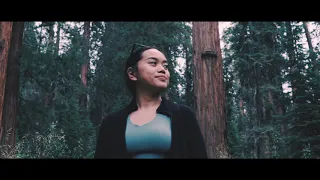 SEQUOIA | A SHORT TRAVEL VIDEO | CINEMATIC IPHONE 11 PRO & SONY A6500