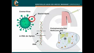 Impfung SARS-CoV-2 (Covid-19)