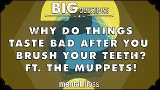 Why do things taste bad after you brush your teeth? - feat. The Muppets! - Big Questions - (Ep. 30)