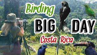 Birding at Nectar Pollen Reserve in Costa Rica - October Big Day - Episode 4