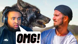 I WOULD DIE☠️ | Yes Theory - I Lived with Wolves for 72 hours (Crazy Reaction)