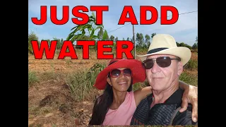 Just Add Water - how water changed the Farm in Rural Thailand