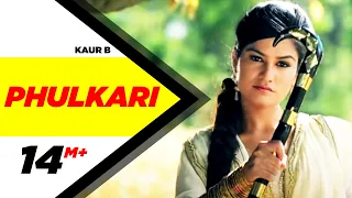 Phulkari | Desi Robinhood | Kaur B | Full Music Video 2015