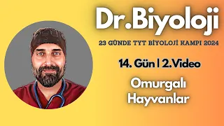 Omurgalı Hayvanlar | 23 Günde TYT Biyoloji Kampı yks2024 | 9. Sınıf