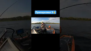 #рыбалка #garmin #lowrance #haibo #panoptix #vboats #activetarget #livescope #щука