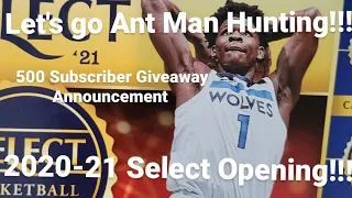 Anthony Edwards Hunting 🎯🏀🦓🐅🐘 2020-21 Select. 500 Subscriber Announcement