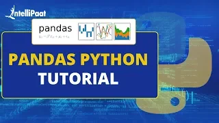 Python Pandas Tutorial | Pandas Python | Intellipaat