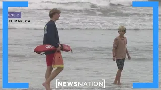 Shark attacks 46-year-old man on California beach | NewsNation Now