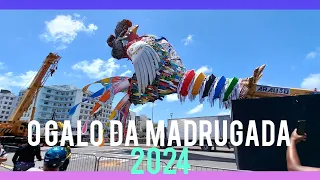 O GALO DA MADRUGADA 2024 | CARNAVAL | RECIFE | Você já Comeu Oití ? 🥭  @rotalivrepelomundo