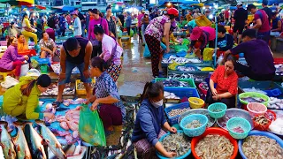 Food Rural TV, Early Morning Supplies of Fish​ at Chbar Ampov Market Many kinds of live fish