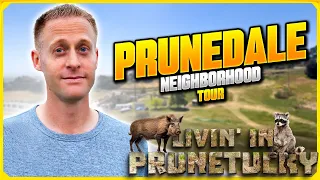Prunedale Neighborhood Tour - Living in Prunetucky California