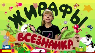 ВСЕЗНАЙКА.  Жирафы