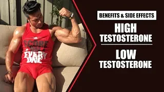 HIGH Testosterone v/s LOW Testosterone | info by Guru Mann