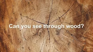 Wood you can see through