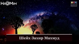 Месть мусульман. Шейх Захир Махмуд