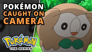 Funniest Pokémon Compilation | Pokémon the Series