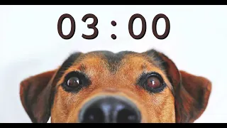 3 Minute Timer for School and Homework - Dog Bark Alarm Sound