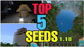 TOP 5 BEST SEEDS OF MINECRAFT 1.18 | in Hindi