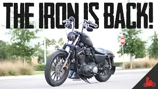 My ORIGINAL Harley Iron 883 is BACK!