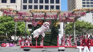 Leung's White Crane Dragon & Lion Dance | 2024 Taiwanese American Cultural Festival