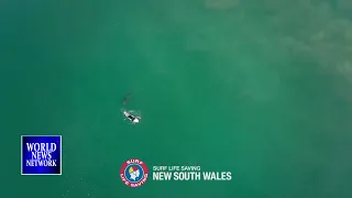 Australian surfer close encounter with shark