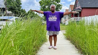 'It's very high': Neighbors voice concerns about overgrown grass in empty lots in Buffalo