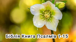 Аудіо Біблія українською мовою ❤️ Книга Псалмів 1-15🌷 #біблія