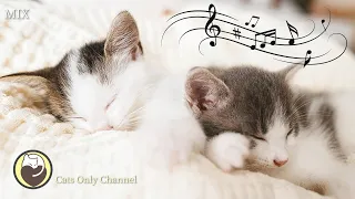 Music for Cats - Peaceful Music to Calm your Cat, Deep Relaxation, Comfortable Sleep