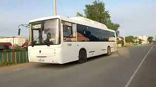 "Обратно".Автобус НефАЗ-5299-11-50 N° В 223 ВН 186 ГКС Ивдель-Ивдельская.