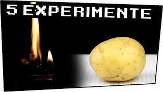 5 EXPERIMENTE mit LEBENSMITTELN! - Heimexperimente #65