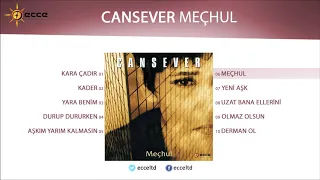 Meçhul (Cansever)