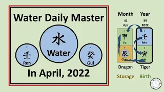 Water 水 Daily Master (Ren 壬 & Gui 癸) in April 2022, the Chen Dragon month - 8th Live (6) 임수 계수 #bazi