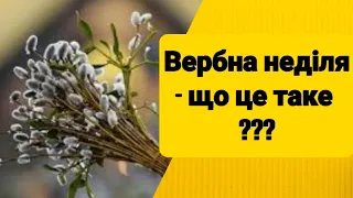 Пальмова неділя. Що таке вербна неділя.