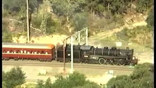 Australian steam locomotive 5910 - Cowan bank - November 1995