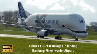 F-GXLN_Airbus A330 743L Beluga XL5 Landing - Hamburg-Finkenwerder airport (1080P)