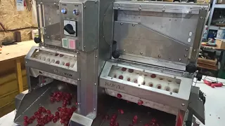 Машина для удаления косточек из вишни 250-300 кг/час Harver DM300x2, Cherry pitting machine