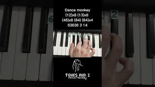 Dance monkey Tones and I on piano 🎹 tutorial