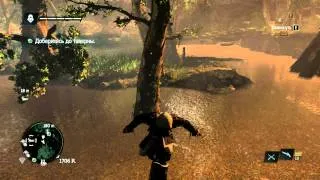 Assasins Creed IV: Black Flag - Alligator hunting 18+